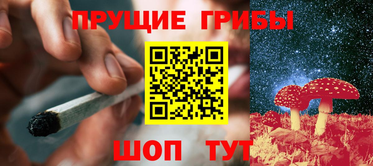 Ачхой-Мартан  где продают наркотики  Вход с VPN  Галлюциногенные грибы Magic Shrooms 
