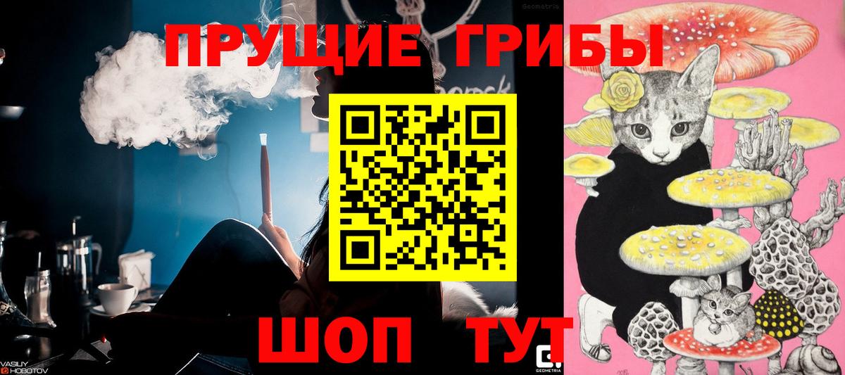 Псилоцибиновые грибы мухоморы Ачхой-Мартан
