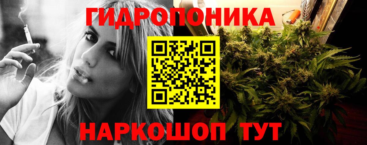 Каннабис AK-47  Каннабис индика  Бошки марихуана тримм  Ачхой-Мартан  Вход с VPN  Каннабис Amnesia 