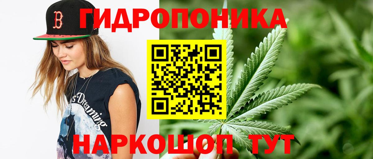 МАРИХУАНА индика Ачхой-Мартан